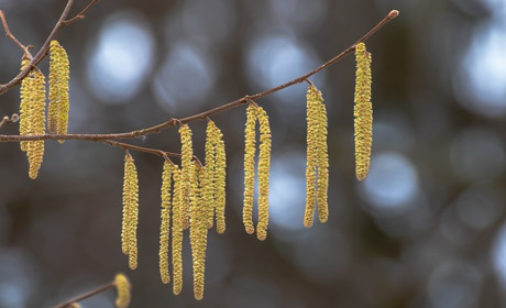 Погода у Старокостянтинові на 18-24 березня: коли прийде потепління