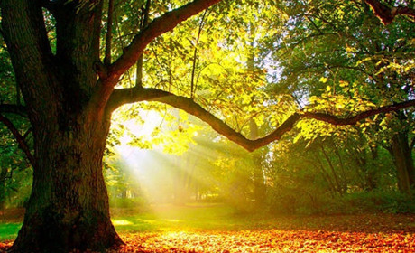 Нова назва. На Луганщині перейменували заповідне урочище "Московське"