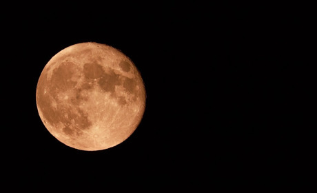 Гороскоп на тиждень