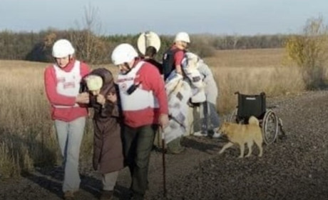 Для переходу через Колотилівку — Покровку тепер потрібні документи на тварин