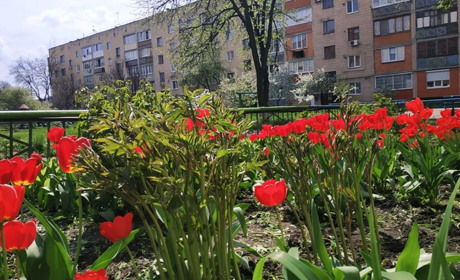 Поминальна субота та Вербна неділя. Календар свят на квітень 2024