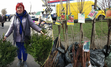 Ажіотаж на саджанці: на базарі в Переяславі найпопулярніші сорти Симиренка, Білий налив та Айдаред