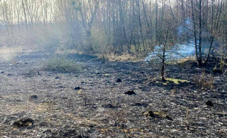 Довкілля під ударом: на Кагарличчині вигорів чималий шмат невдоб