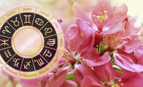 Овнам - кар'єрне зростання, а Левам - заклик до дій: що віщують зорі у квітні для золотонісців?