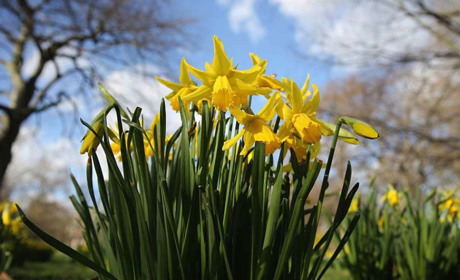 Погода на Кагарличчині та Ржищівщині на вихідні 6 і 7 квітня