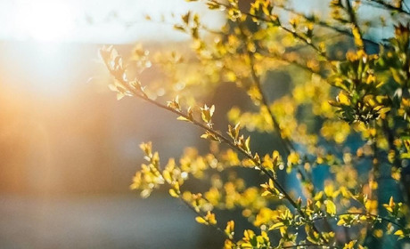 Погода в Кагарлику та Ржищеві на тиждень - з 8 по 14 квітня