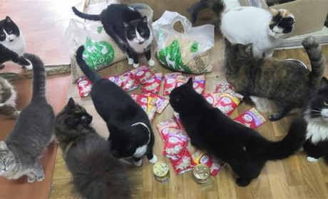 Доброта, що б’є рекорди! Нікопольські діти стали учасниками рекорду України