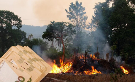 Палиш — платиш: лісівники Слобожанського офісу попережають про відповідальність за пожежі в лісі