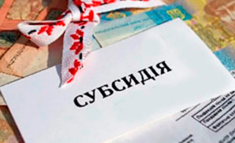 Дозволена субсидія чи ні? Українцям підказали алгоритм, як перевірити наявність субсидії