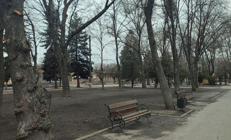 У Краснограді на розгляд Світлані Кривенко подали нові назви вулиці Бєльовська