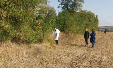 На Полтавщині у травні розкладатимуть вакцини від сказу для диких тварин