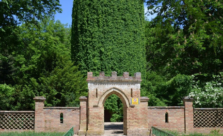 Окупанти збираються вивезти тварин з Асканії-Нової до анексованого Криму