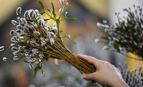 Вербна неділя 2024: коли святкуватимемо і до яких заборон дня варто прислухатись