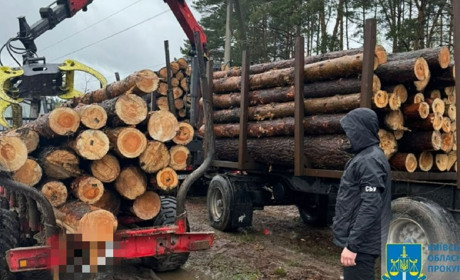 Продавав високоякісну деревину за заниженими цінами: на хабарі викрито посадовця одного з лісництв