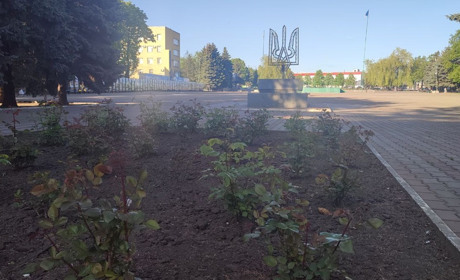 Верховна Рада не розглянула Постанову від Комітета про перейменування Краснограда в Берестин