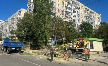 У середмісті Южного розпочали капітальний ремонт пішохідної доріжки (ФОТО)