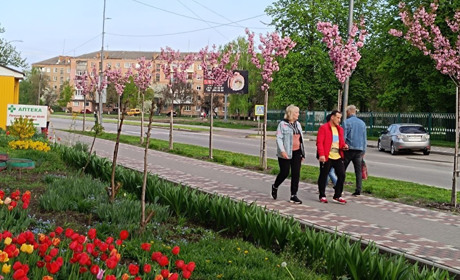 Переяслав озеленюється перед Великоднем: де і які дерева посадили у місті цієї весни ФОТО