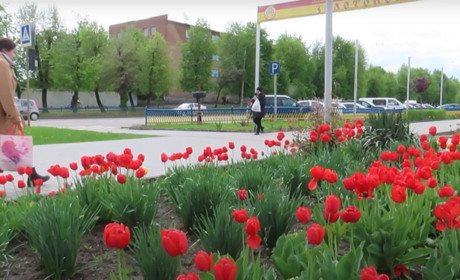 Прогноз погоди для золотонісців: очікуються грози та заморозки