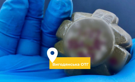 Мешканець Вигодянської громади продав за 3 тисячі грн гранату і попався "на гарячому"