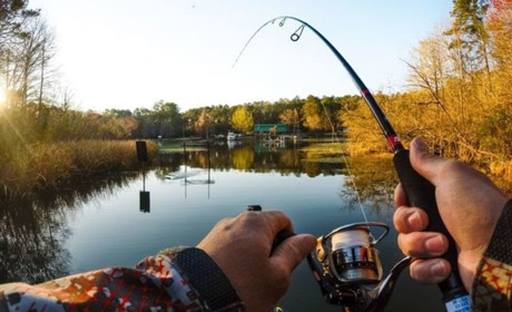 Відкриття нових місць для риболовлі на спінінг в Україні: основні локації для лову