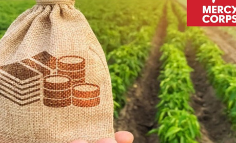 Сільське господарство: допомога у 75 000 доларів малому та середньому бізнесу