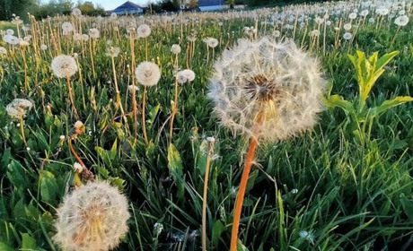 Ще трохи померзнемо...