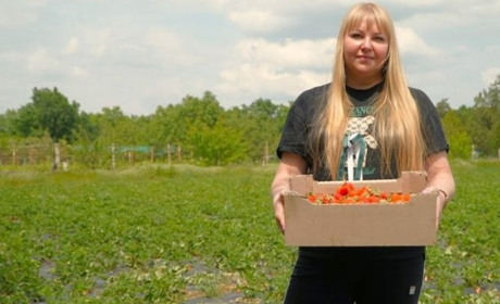 Нікопольські фермери не здаються: вирощують суницю навіть під обстрілами