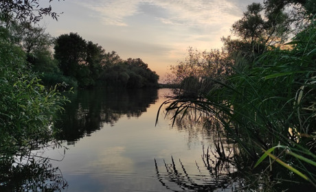 У пониззі Дністра та в його рукаві Турунчуку очікується підвищення рівня води: може підтопити берег