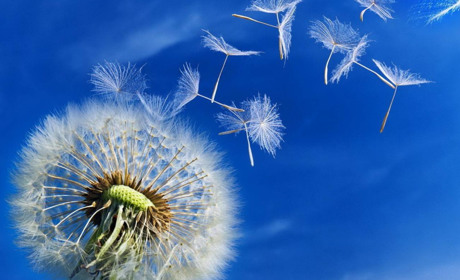 Погода в Кагарлику та Ржищеві на тиждень - з 20 по 26 травня