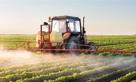 Увага! У Сарах та Червоному куті оброблятимуть посіви соняшника хімічним препаратом