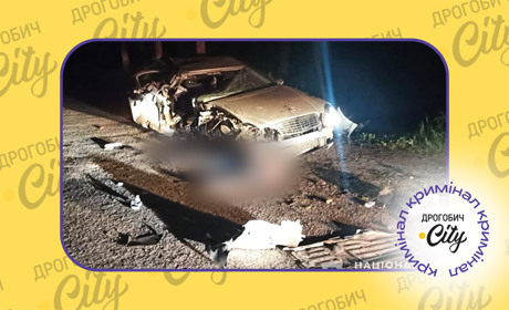 У селі Довге 38-річний водій спричинив смертельну ДТП: він був напідпитку