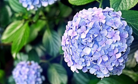 Календар державних та професійних свят та іменини червня 2024