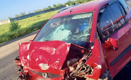 Поблизу Южного сталася смертельна ДТП (ФОТО)