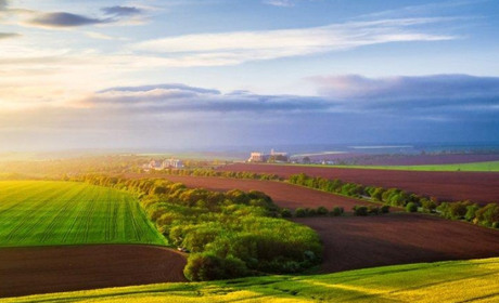 Строк оформлення невитребуваних паїв продовжено до 2028 року