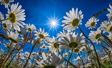 Погода на Кагарличчині та Ржищівщині на вихідні 25 і 26 травня