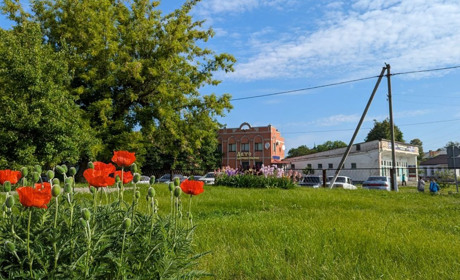 Дощі, грози й 30-градусна спека: прогноз погоди у Гадячі на тиждень