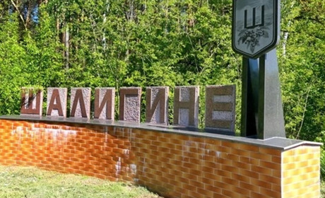 У селищі Шалигине внаслідок обстрілу пошкоджено приватний будинок