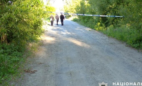 Смертельна ДТП: звягельські поліцейські затримали нетверезого водія