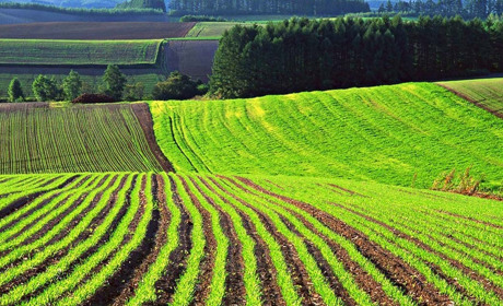 Податкова інформує: усе про нарахування та сплату земельного податку