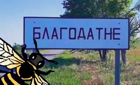 Добровольці села Благодатне врятували дітей від бджіл