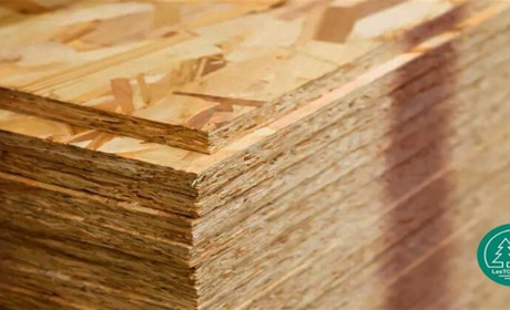 Який OSB лист може використовуватися в місцях з надмірною вологою?