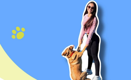 “Не купуй, а прихисти”. Як Вікторія Афонасенко з Жовтих Вод прихистила безхатнього песика