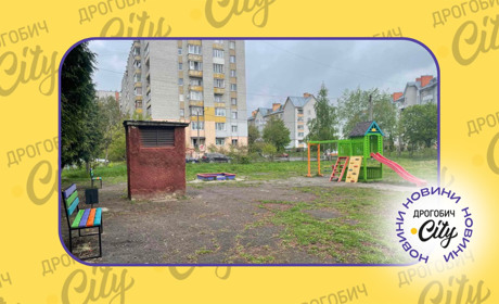 Біля 17 гімназії хочуть реконструювати майданчик, а у 5 - відремонтувати дах: проєкти є на DREAM