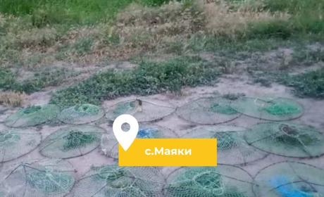 На Дністрі біля Маяк рибалка ловив раки забороненим знаряддям і завдав збитків на 133 тис. грн