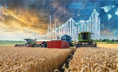 Вплив війни на агропромисловий сектор України: прогнози врожаю 2024 року