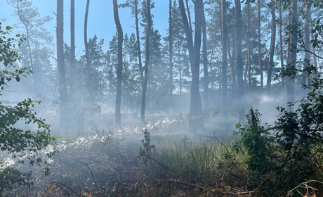 Рятувальники локалізували дві пожежі в екосистемах поблизу Великобурлуцької громади