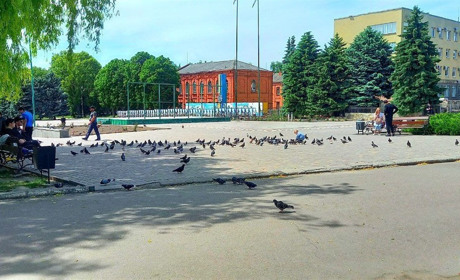 Чи легко знайти роботу у Краснограді? Результати опитування мешканців міста