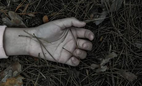 У лісосмузі траси Одеса-Київ знайшли тіло дівчини з ознаками удушення