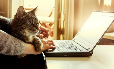 На Одещині створили платформу соціальних послуг: як знайти, хто може нею скористатися