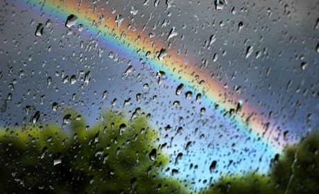 Погода в Кагарлику та Ржищеві на тиждень - з 17 по 23 червня